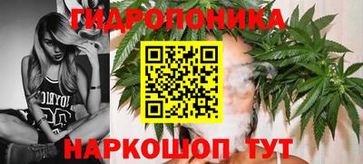дмт Ливны