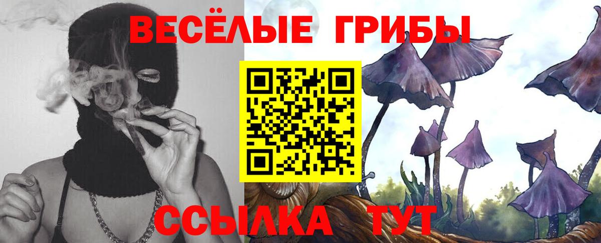 Псилоцибиновые грибы ЛСД  Псилоцибиновые грибы Magic Shrooms  Шебекино  Вход с VPN 